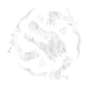 theSchaduw set
