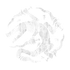 Icon of the The Shadow Ark Set.
