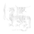 Vortigern's Dragon Set Icon