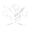 Image of wickedCorsair in codex set overview.