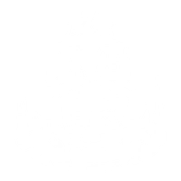 Combat Fury icon