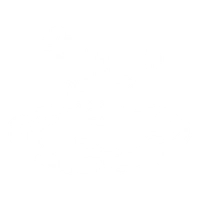 Mass Revitalization icon