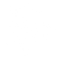 Hailstorm Long Guns icon