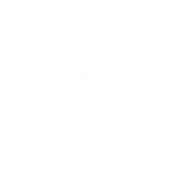 Impeder Ballista icon