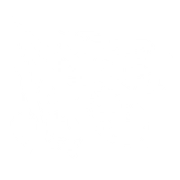 True Endless Requiem icon